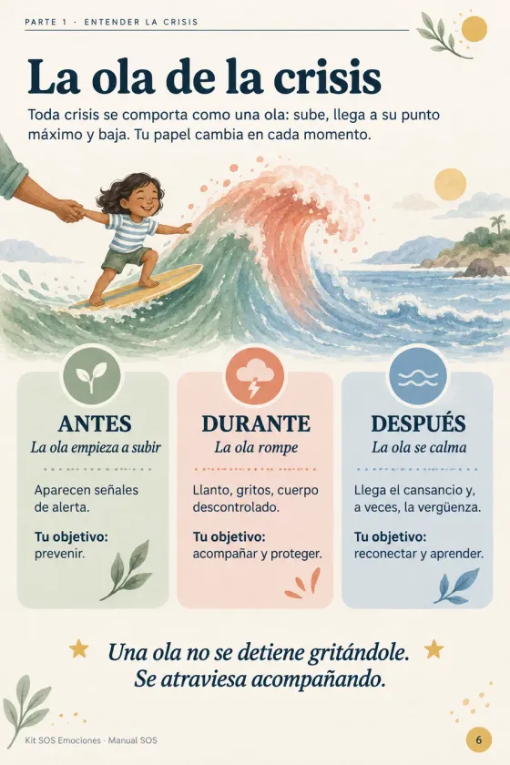 Manual SOS: la ola de la crisis